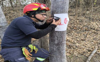 Curso de Operaciones Forestales I, Academia de Bomberos de Guayaquil “Crnl. Gabriel Gómez Sánchez”